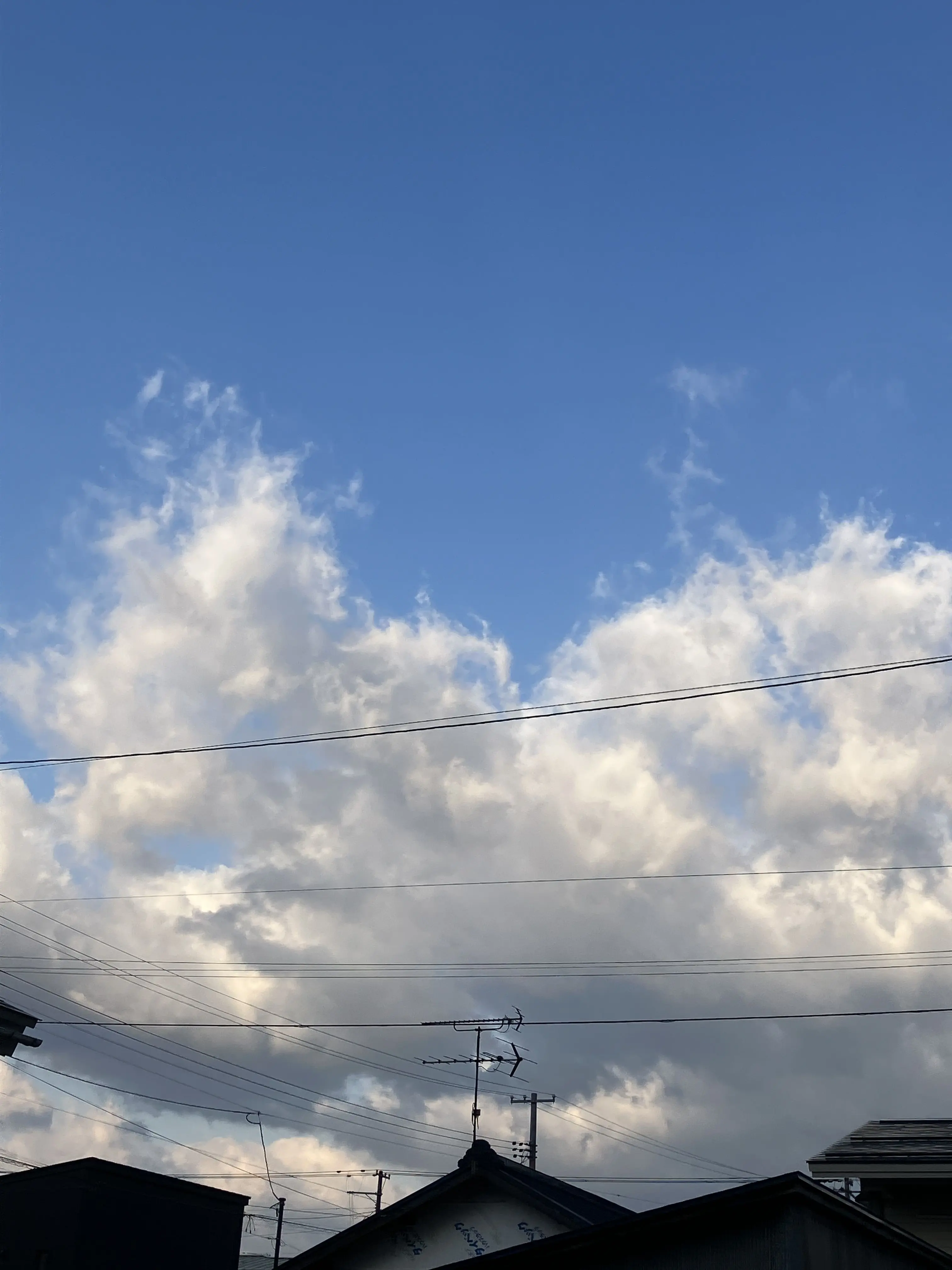 SpicyNews8095의 コロイカ✖️学パロ！