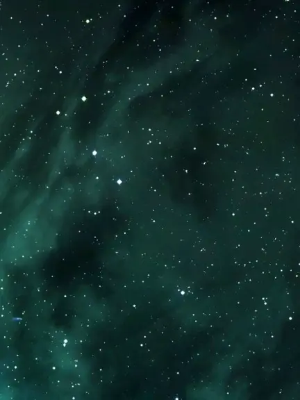 hodadag의 정공룡