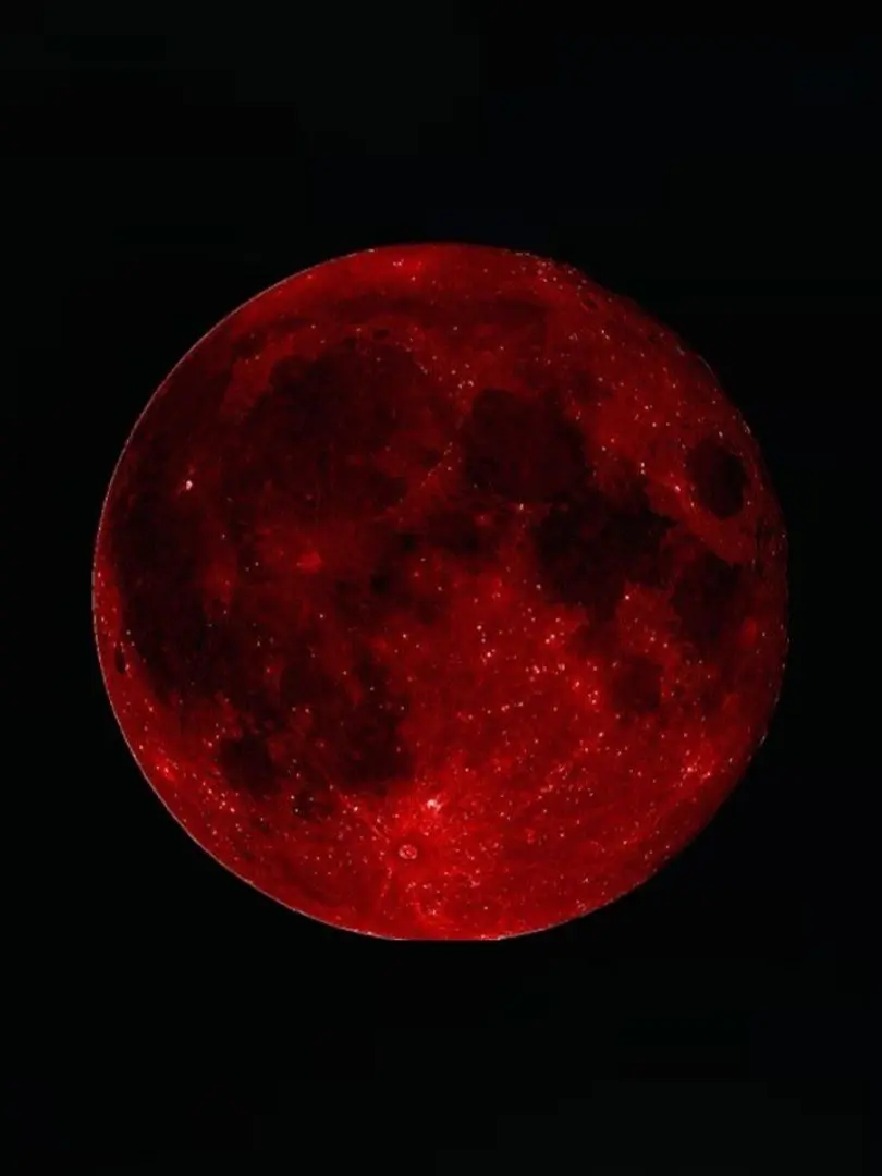 Ixrniyax_IO의 貴方に一目惚れした葛葉