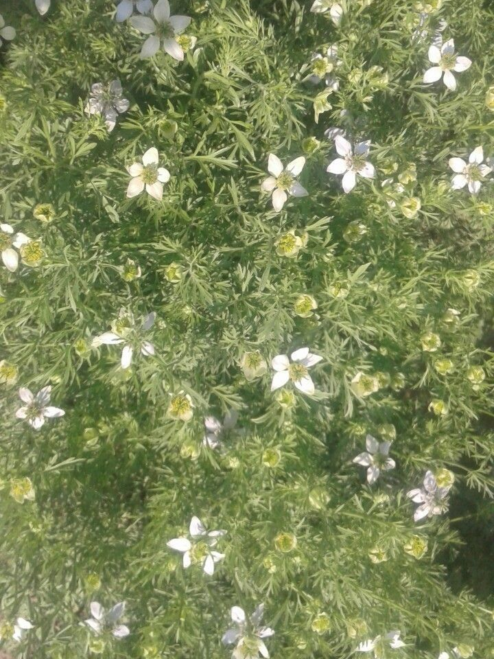 ￶ᅠᅠᅠᅠᅠᅠ 대표 이미지