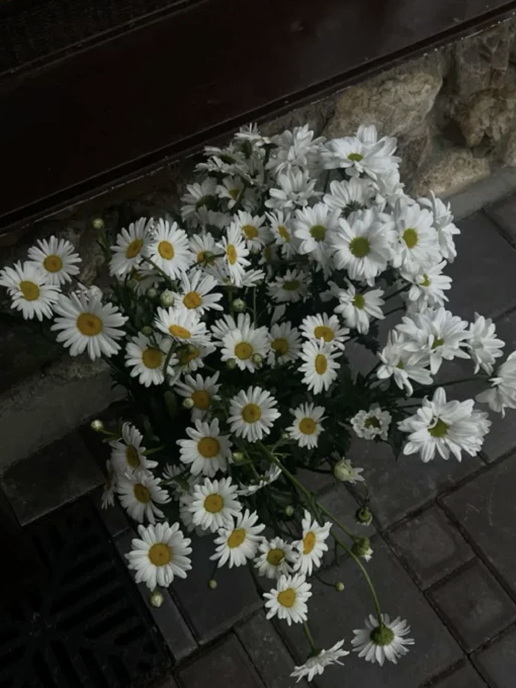 김애리 대표 이미지