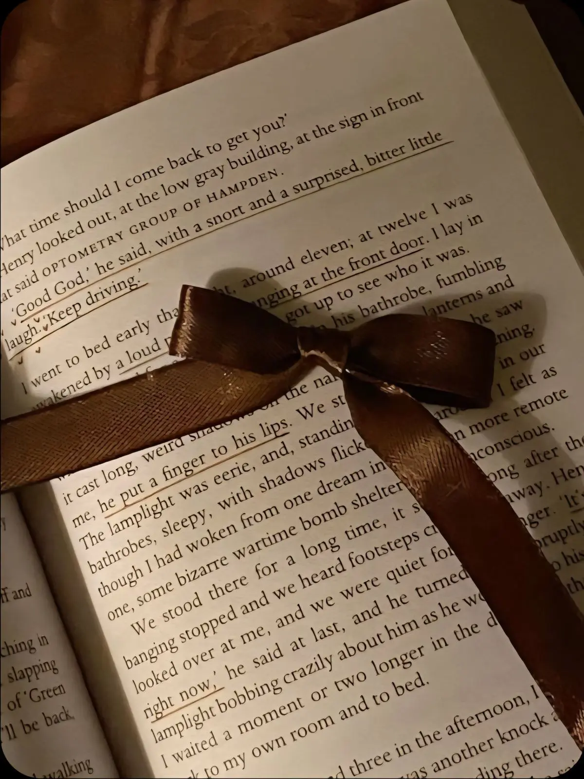 Gojong0229의 벌양과 함께하는 동거