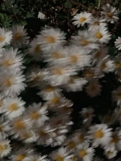 권사원 대표 이미지