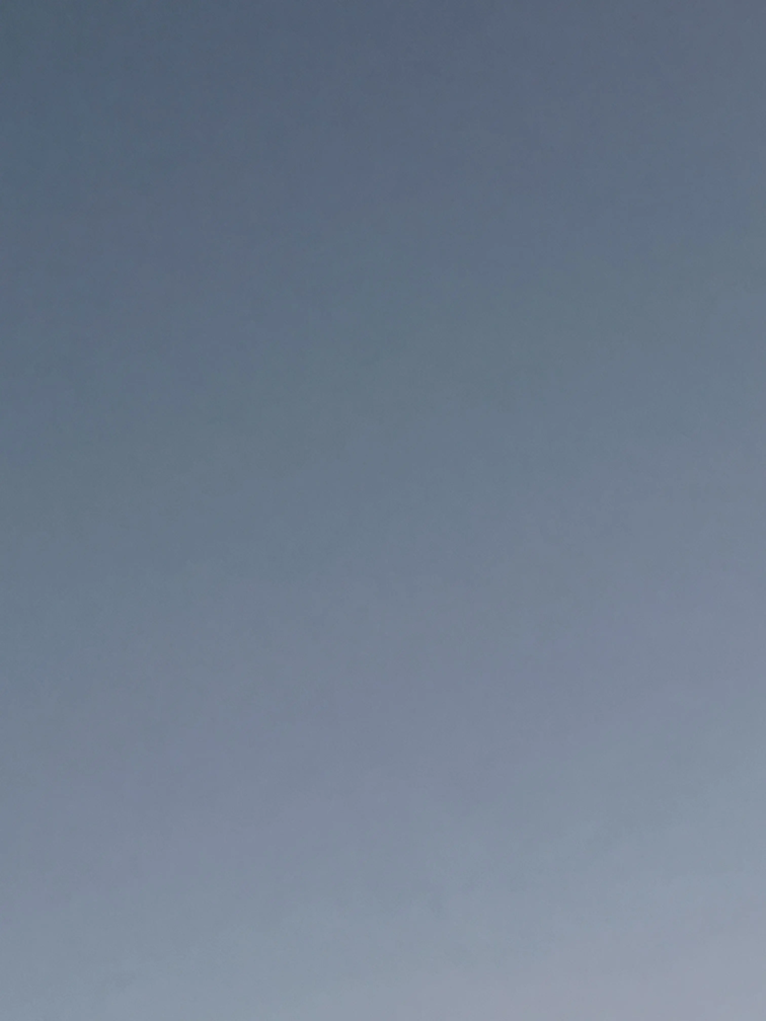 Minto_1122의 裏切り すーじく