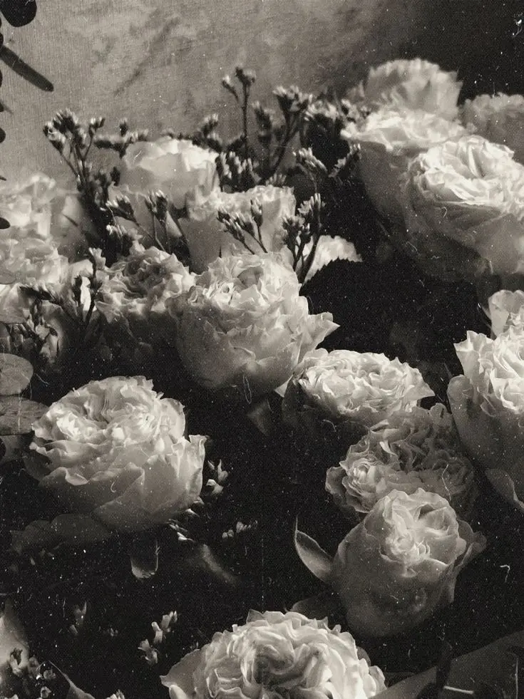 zab1234의 Ashen Romance