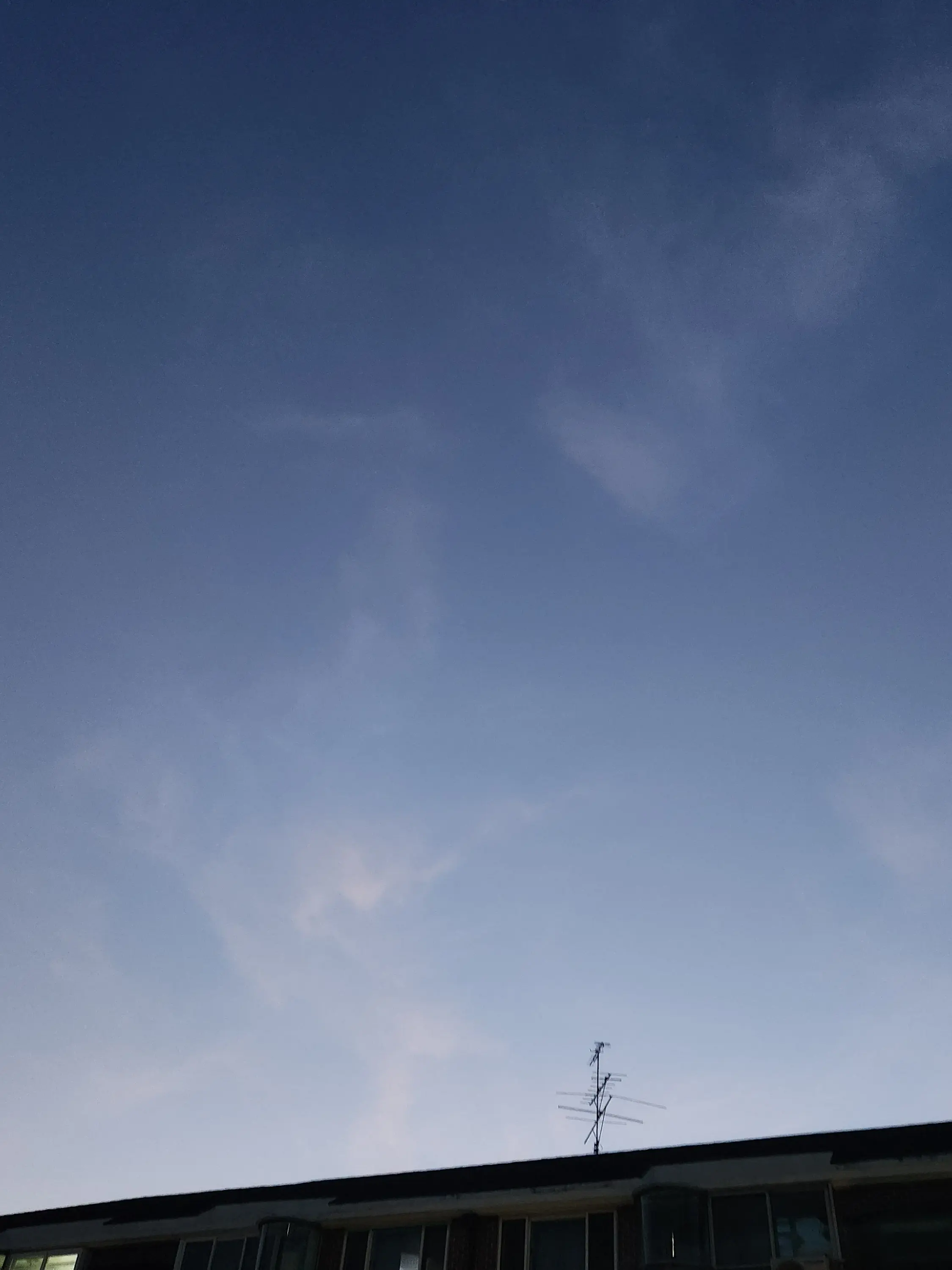 FloralRoot0373의 자캐임 ㅋ