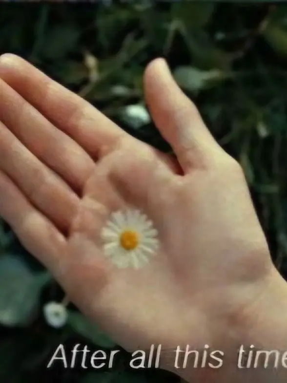 SpicyFence9527의 세베루스 스네이프