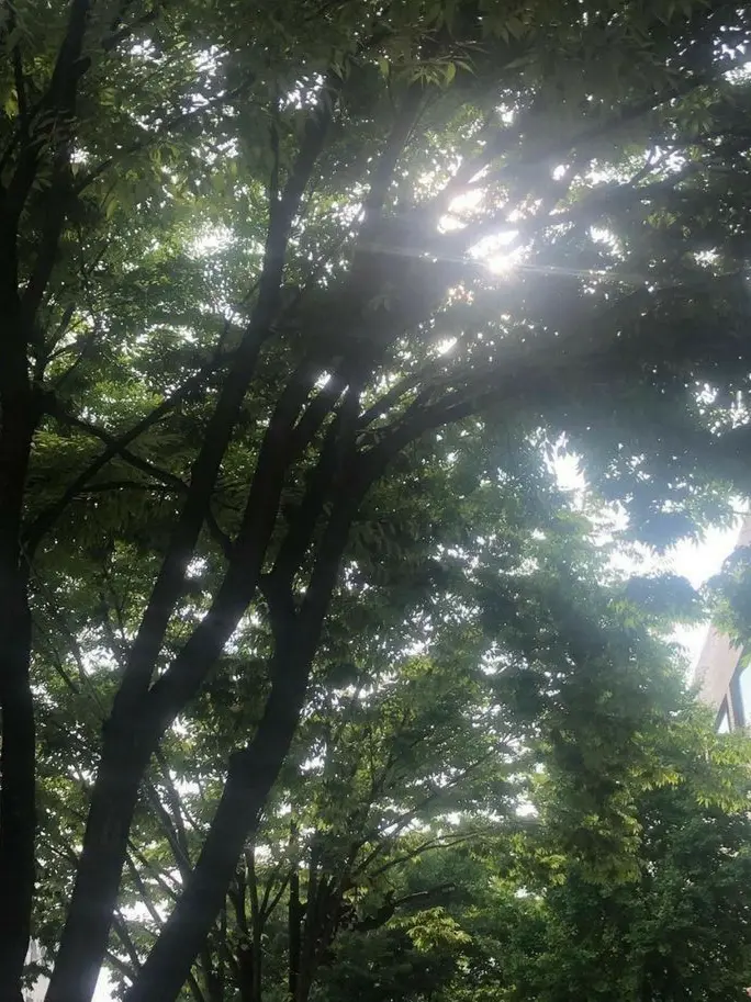 FoggyPansy2517의 그 여름의 너는