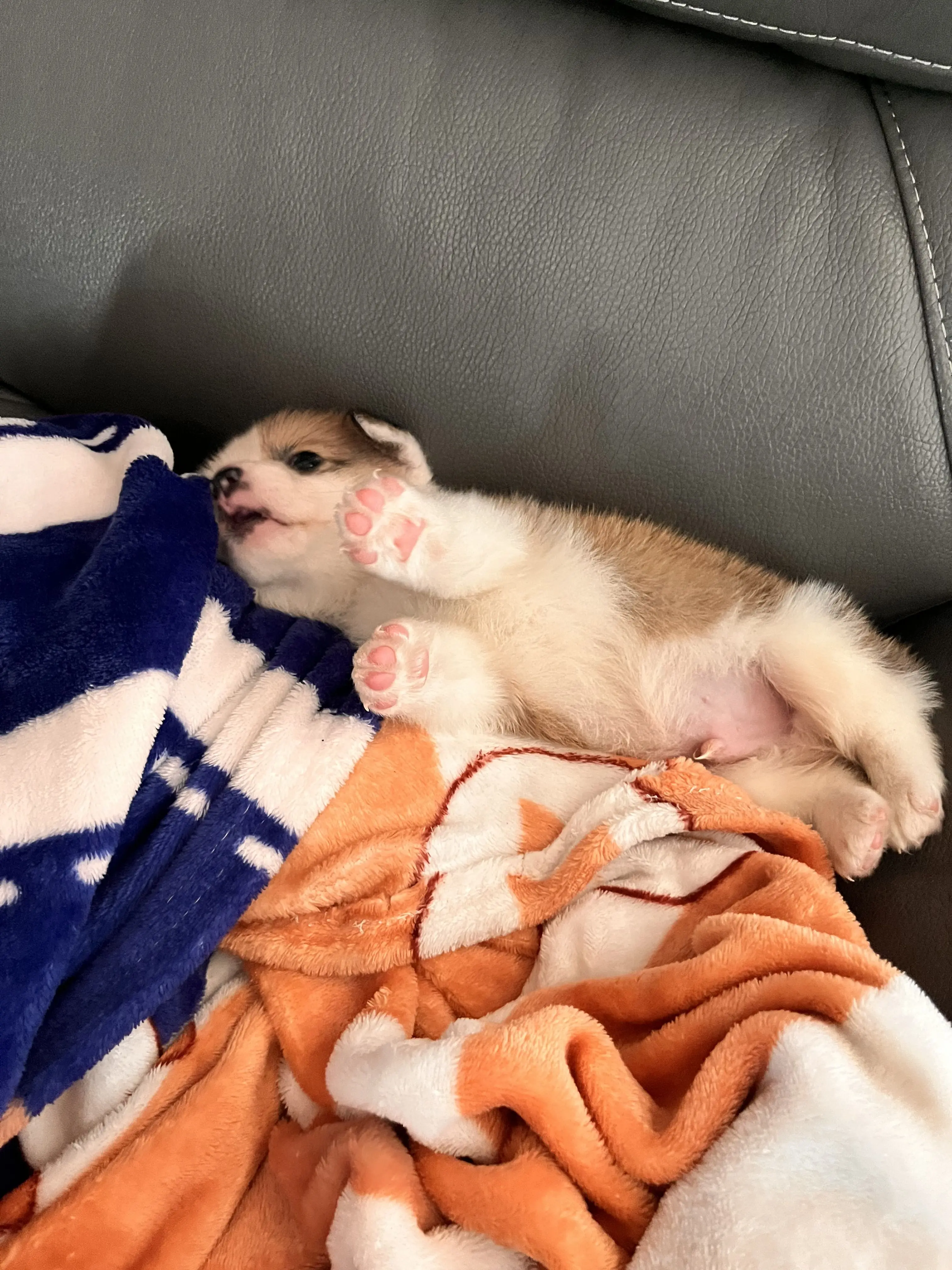 PrettyDress7463의 야 우리 ‘쪽팔려‘ 할래?