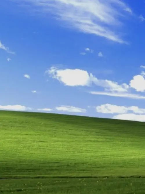 Oreo0101의 바이러스