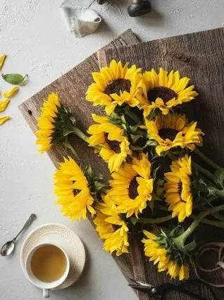 Breakfast-menu의 ⭐_그래도 한 건 했잖아?