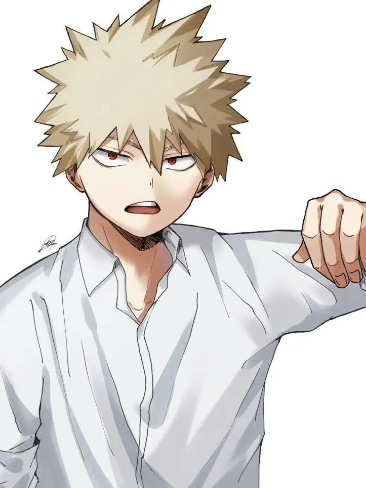 Novachanz의 Katsuki Bakugo