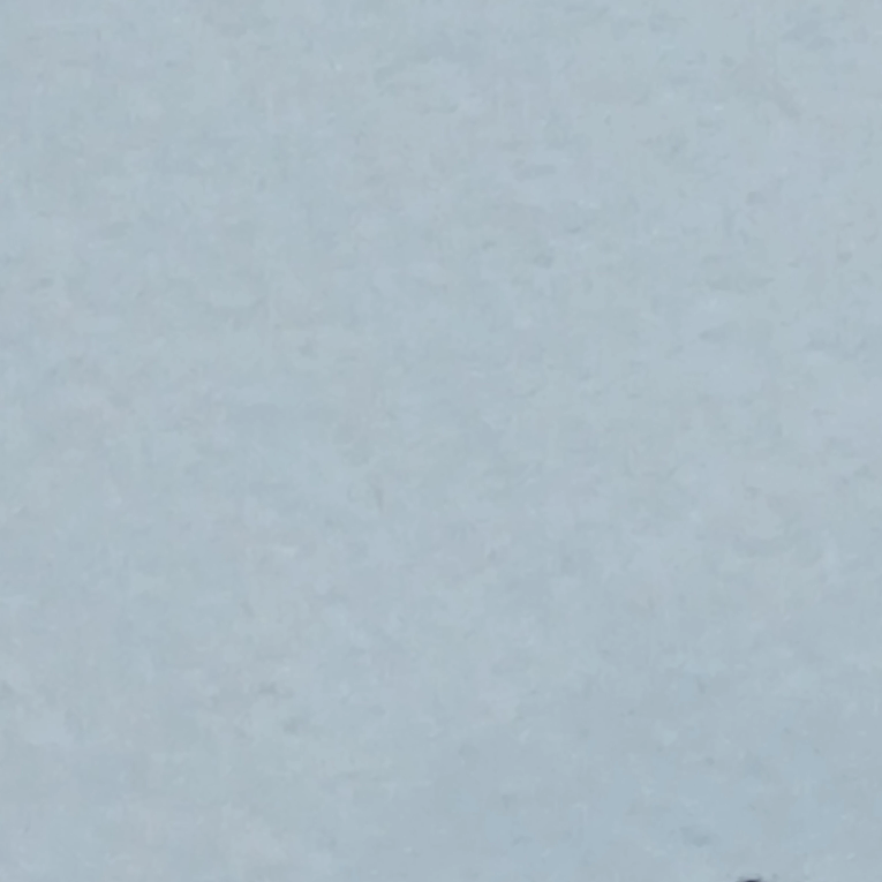 여자 퓨바