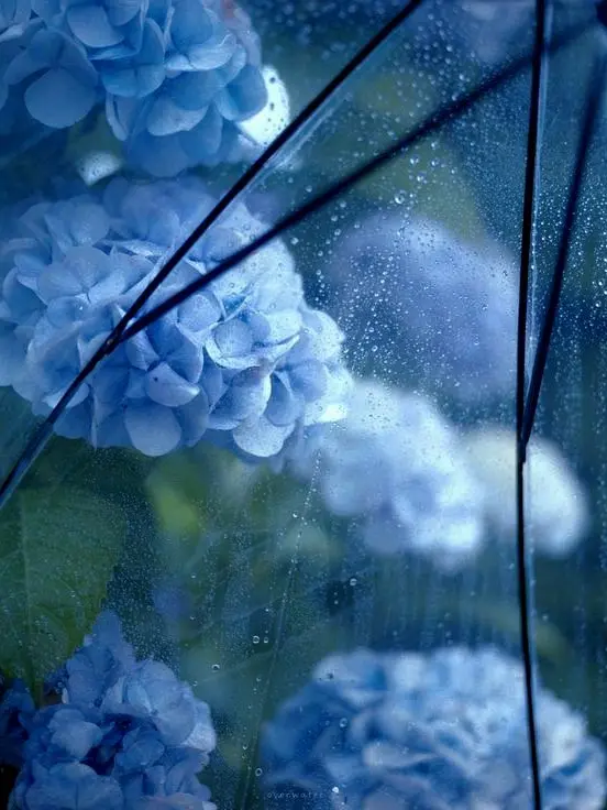 BroadLily3962의 ─