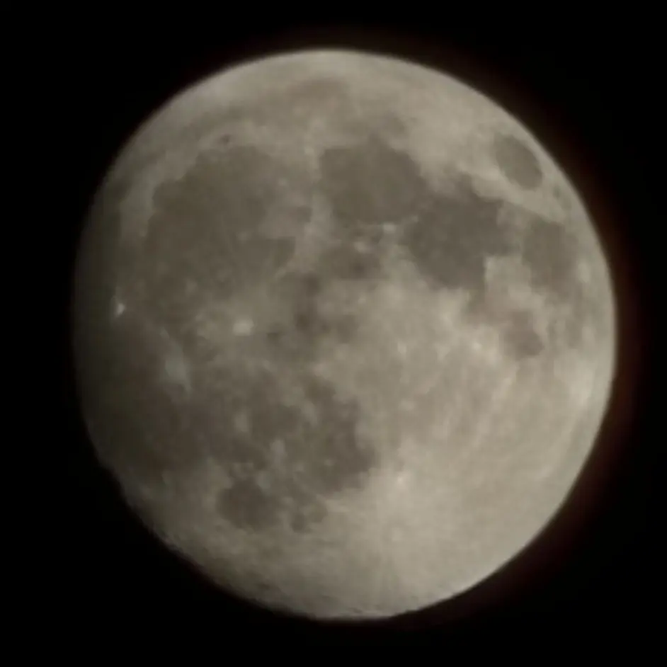 FrankLedge5685의 뱅뱅뱅~