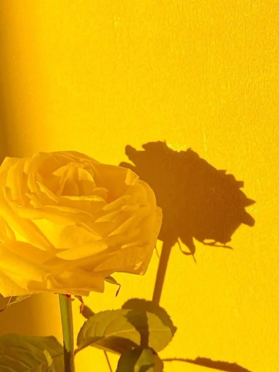 Blanked.love의 0423