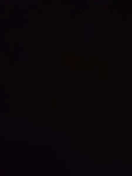 snower의 유곽의 밤