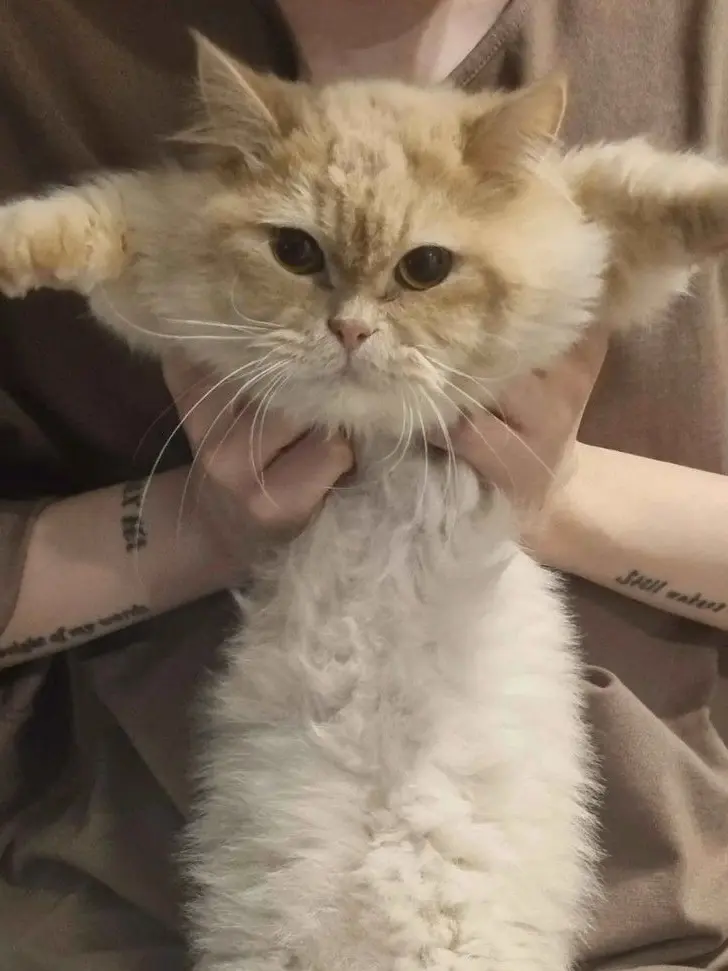 ive_bive9의 싸이코드가 당신에게 멤버로 권요!!