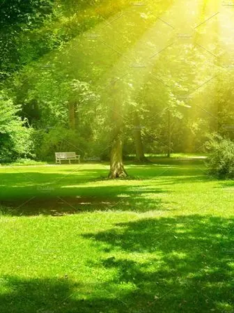 Reju의 바람을 핀 아내에게 복수하는 당신