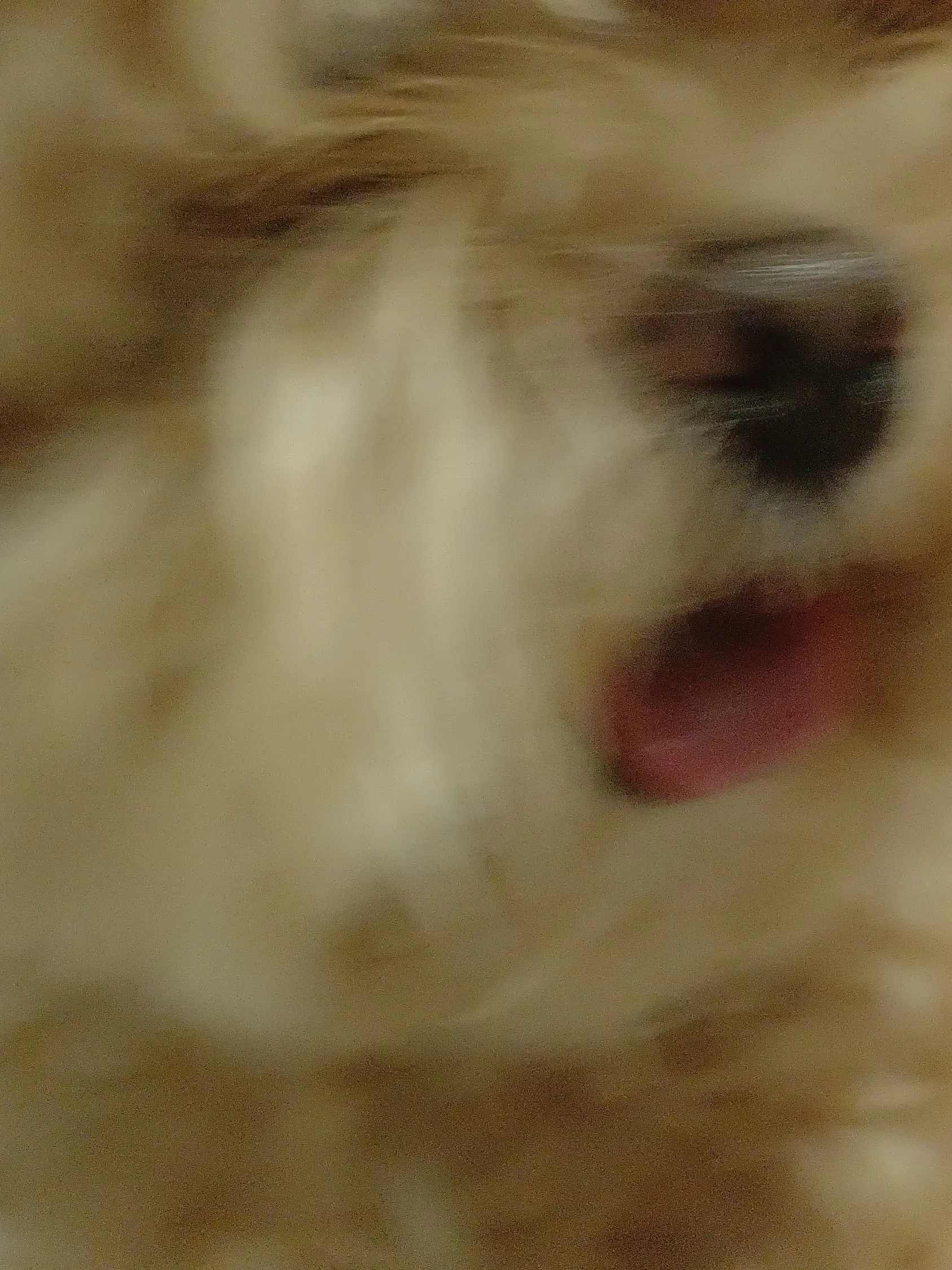 Xkdjdbdidsds의 귀멸의 칼날 공식 커플들♡ 현대판