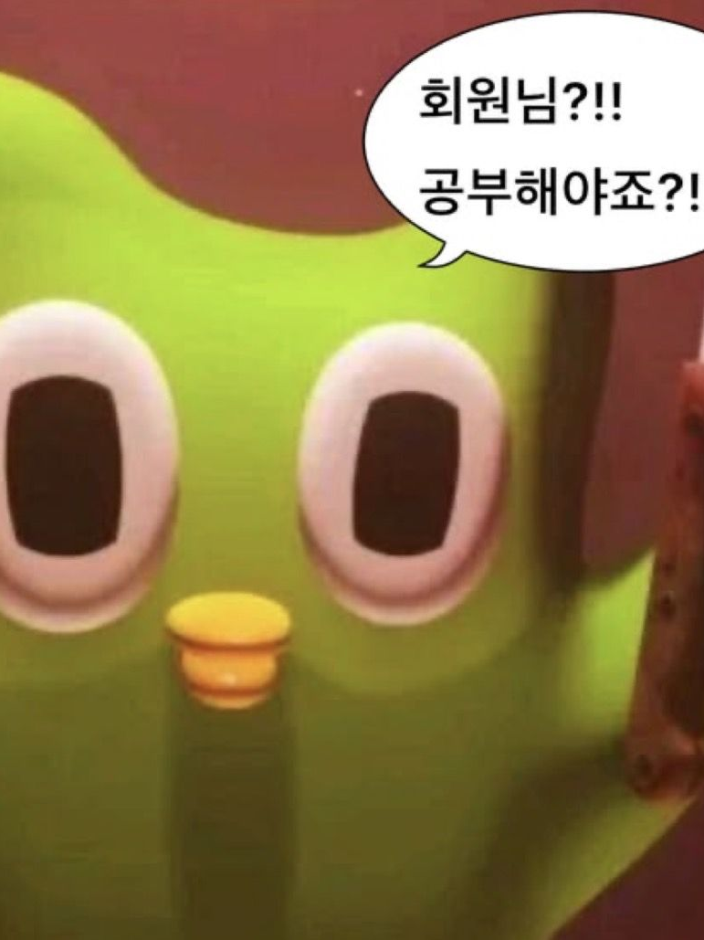 듀오링고 대표 이미지