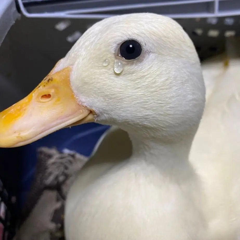 sugohaseyozzz의 개인용