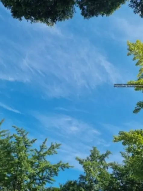 dreamer_0107의 미스터리 수사반 1