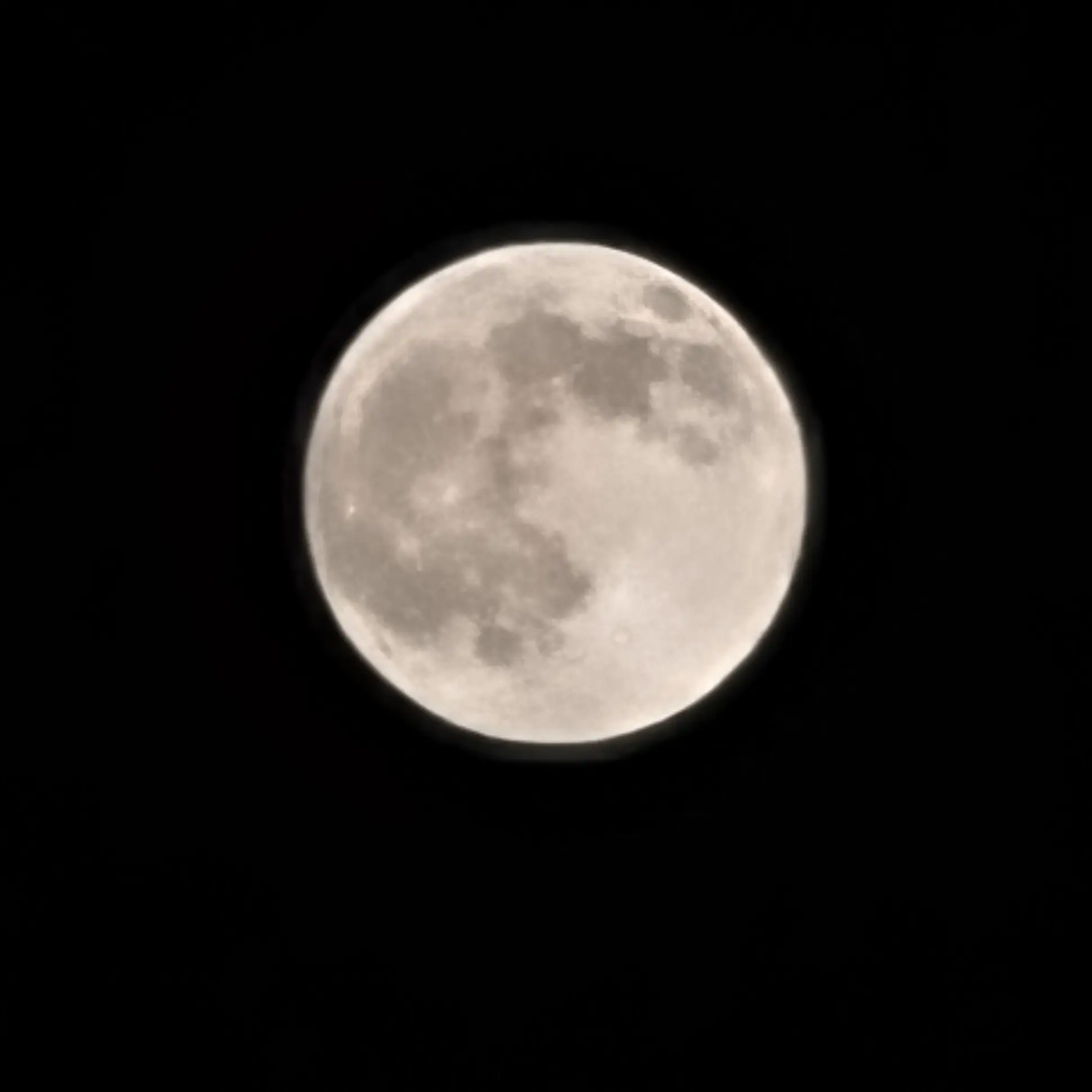 blue_sun_white_moon의 총