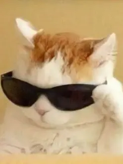 Steven-Gerrard의 유하람