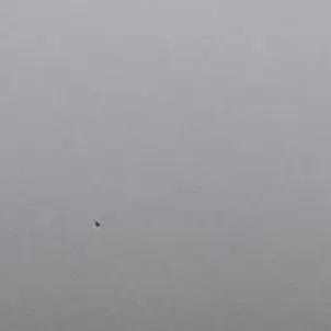 OralBrisk8639의 이준호