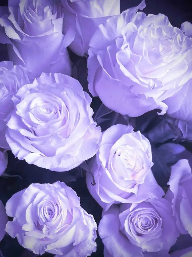 red_h_r_t의 💜