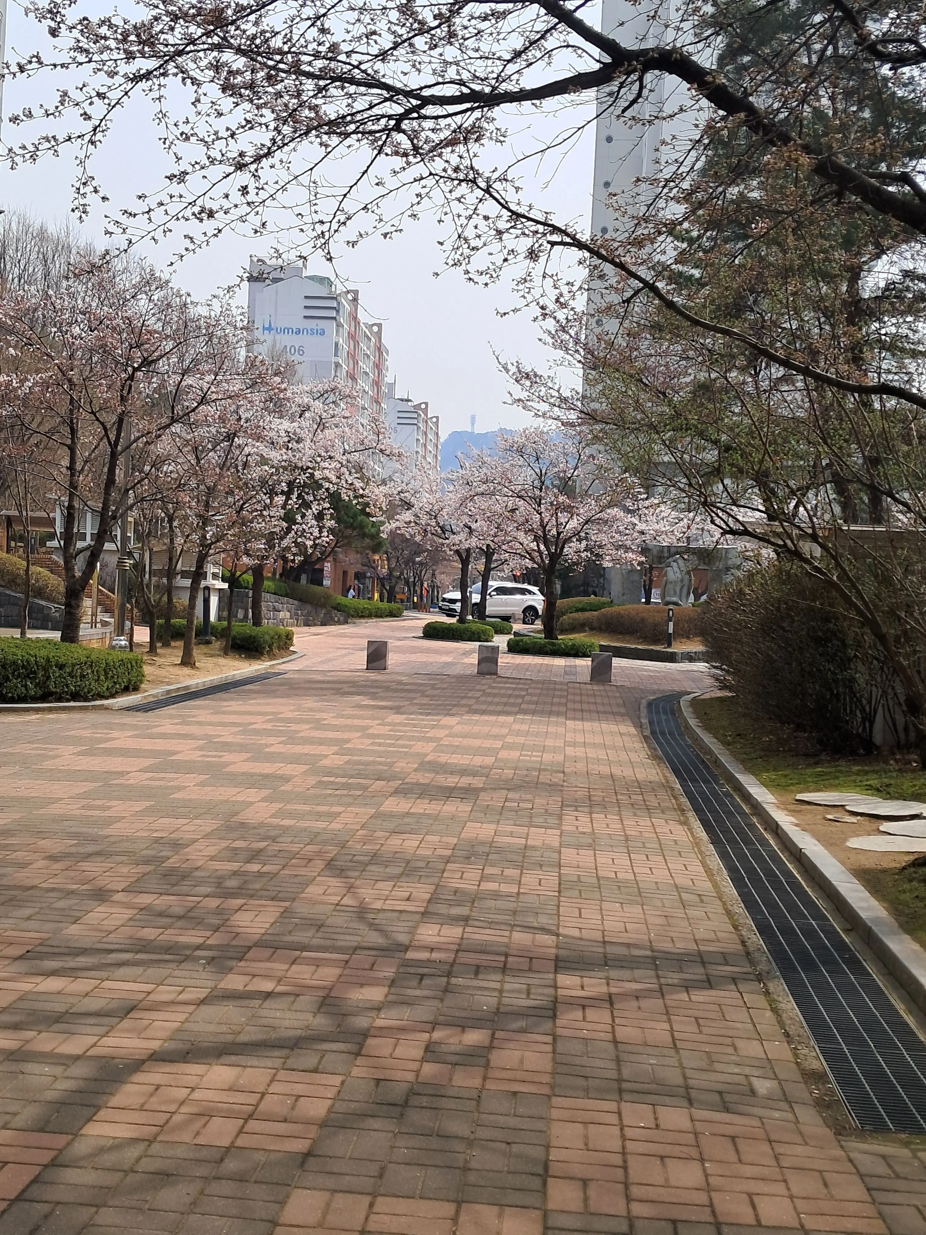 KOREA.COM의 현장의 미수반 (1)