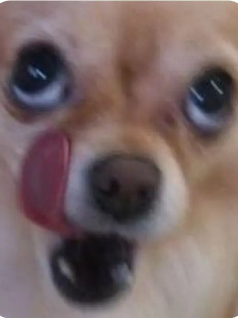 Kimleeonlover의 " 여기서 만나게 될줄은 몰랐지! "