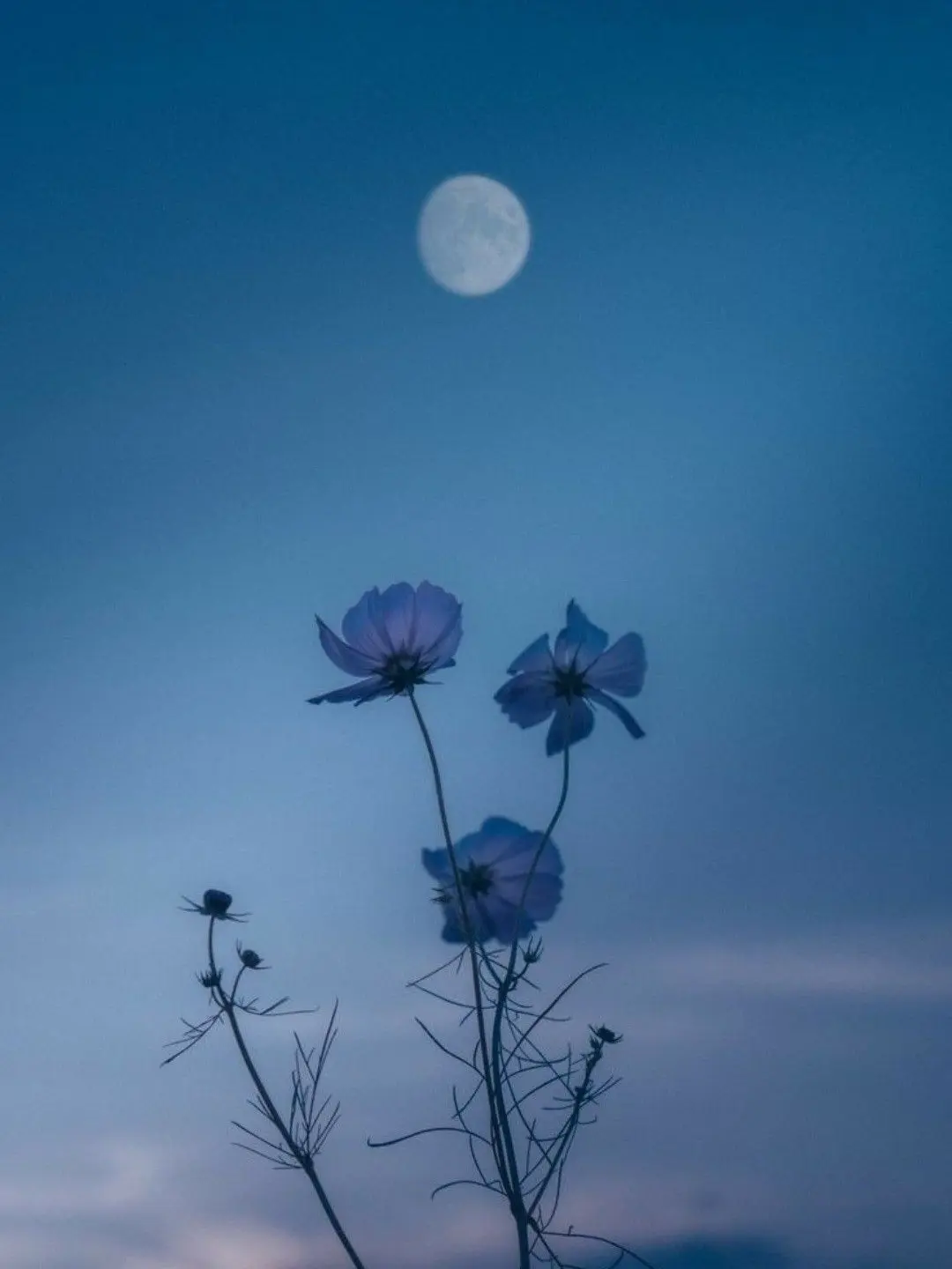 OOO_OOO_O의 帰らせる訳がない