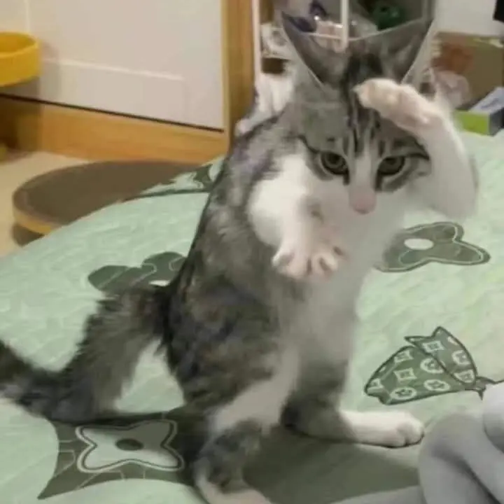 HarshXeme1816의 공zㅢ