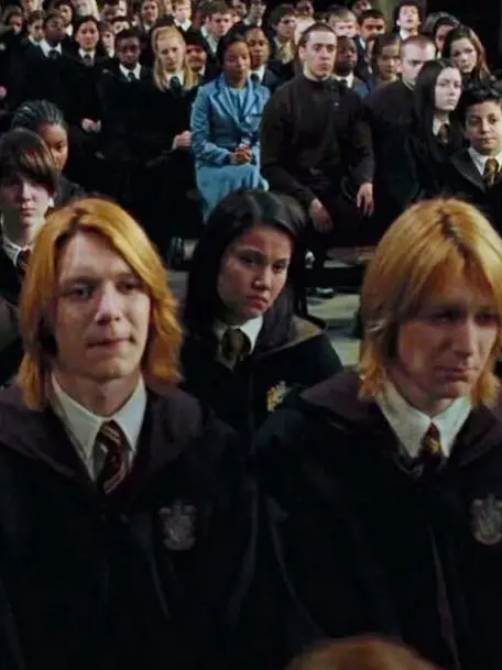 FishyApron5188의 The Weasley Twin's Enemies