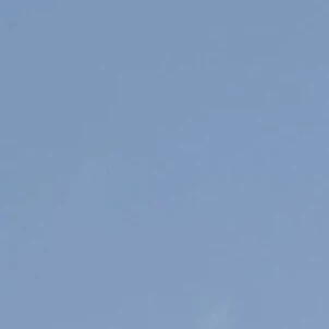 시가라키 토무라