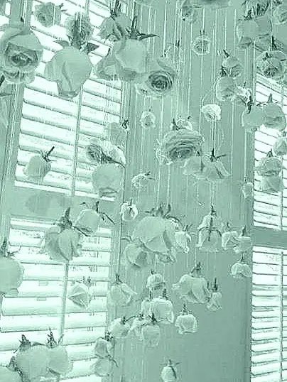paper0426의 나에게 부디 관심을 줘.