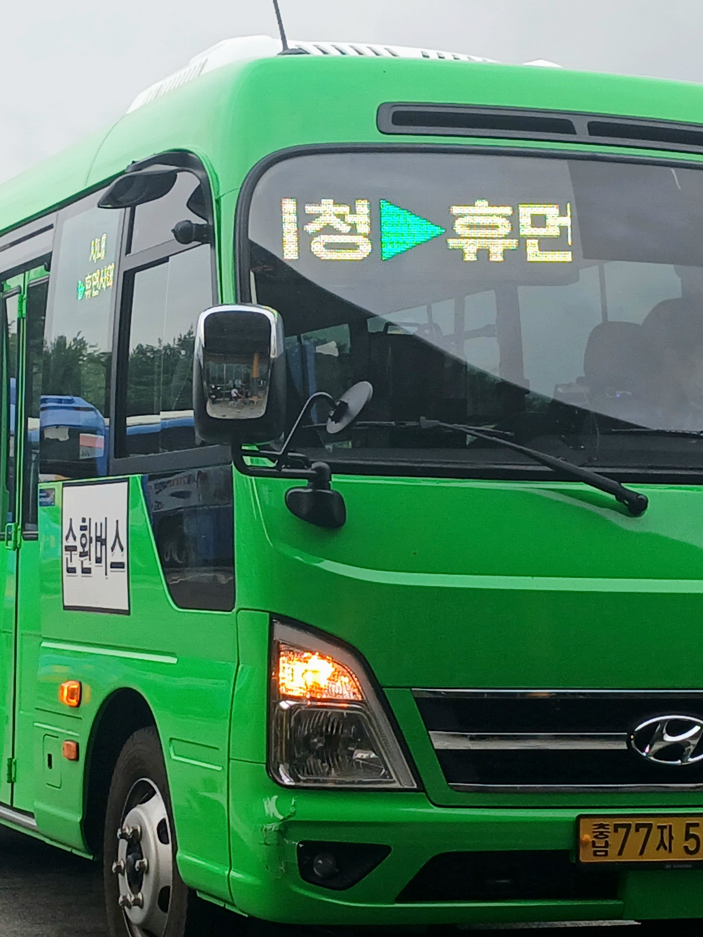 버1스단톡인데 늑대놈이 있다!🥵🥵 대표 이미지