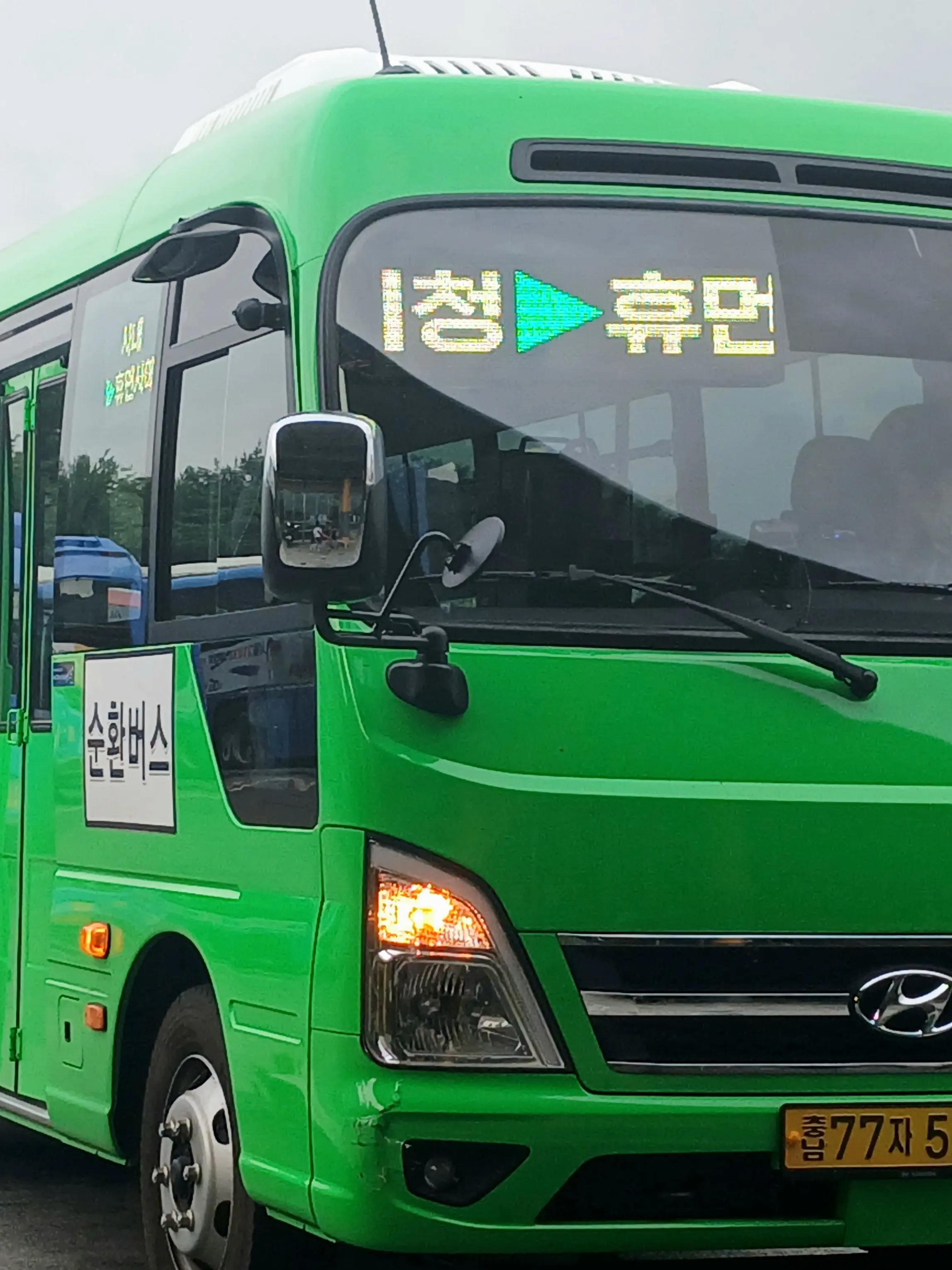 KGMSMART110의 버1스단톡인데 늑대놈이 있다!🥵🥵