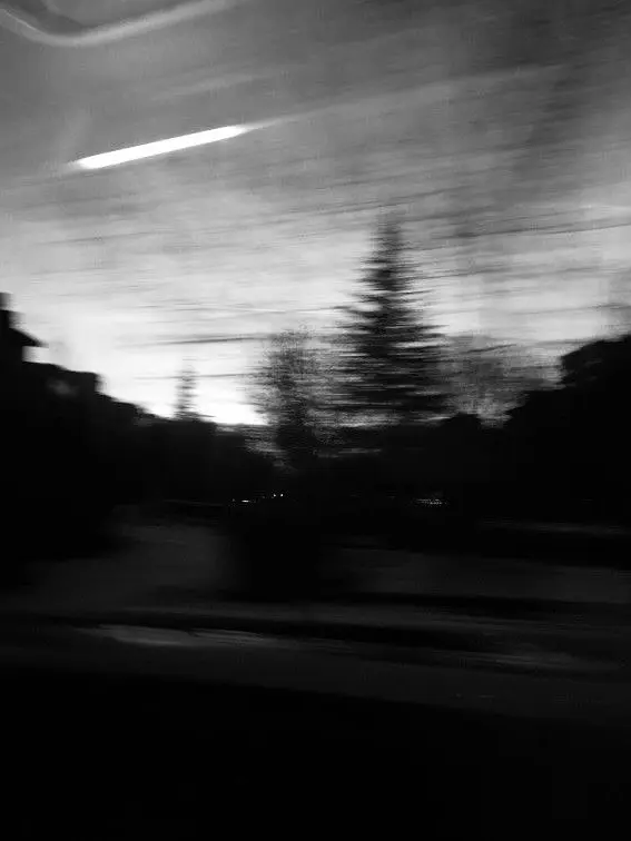 k_k_k_k_k_k_k_k의 『𝐩𝐚𝐫𝐚𝐝𝐢𝐬𝐞』
