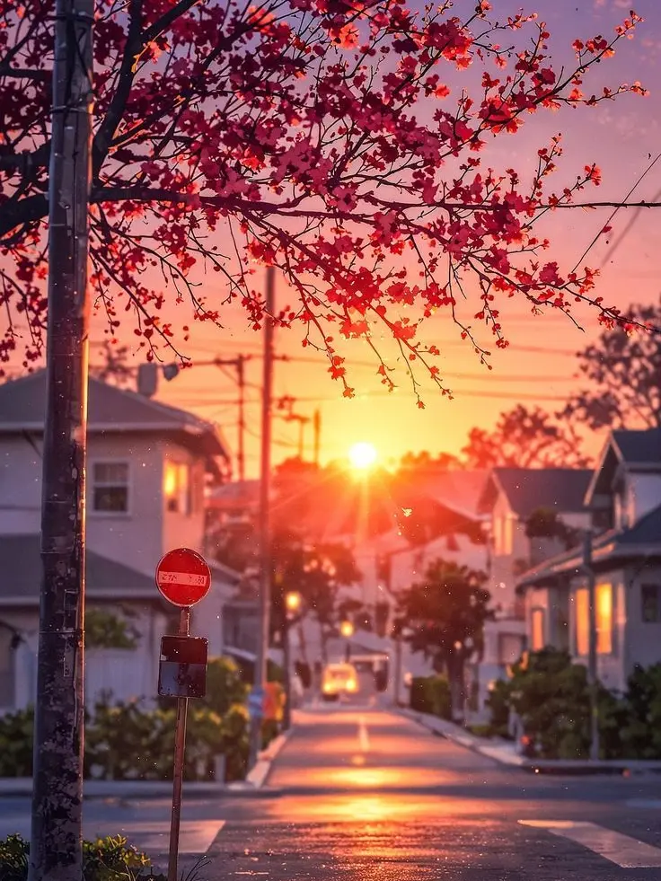 Iove_lol의 초세여