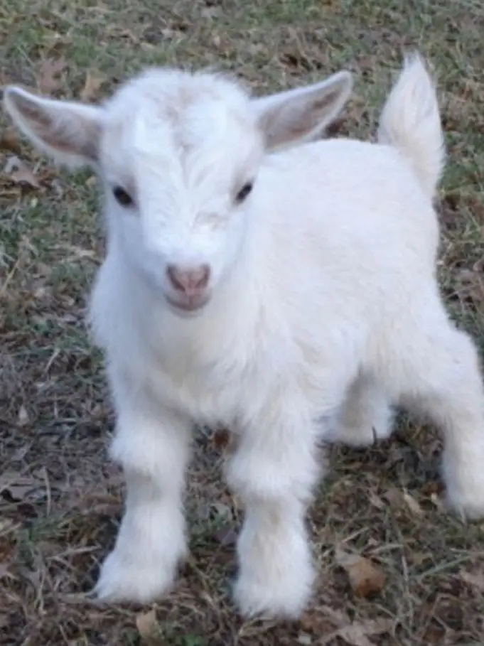 Inami4_ra의 個人用だぜbro