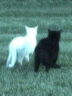 LucKy1210의 マネージャー