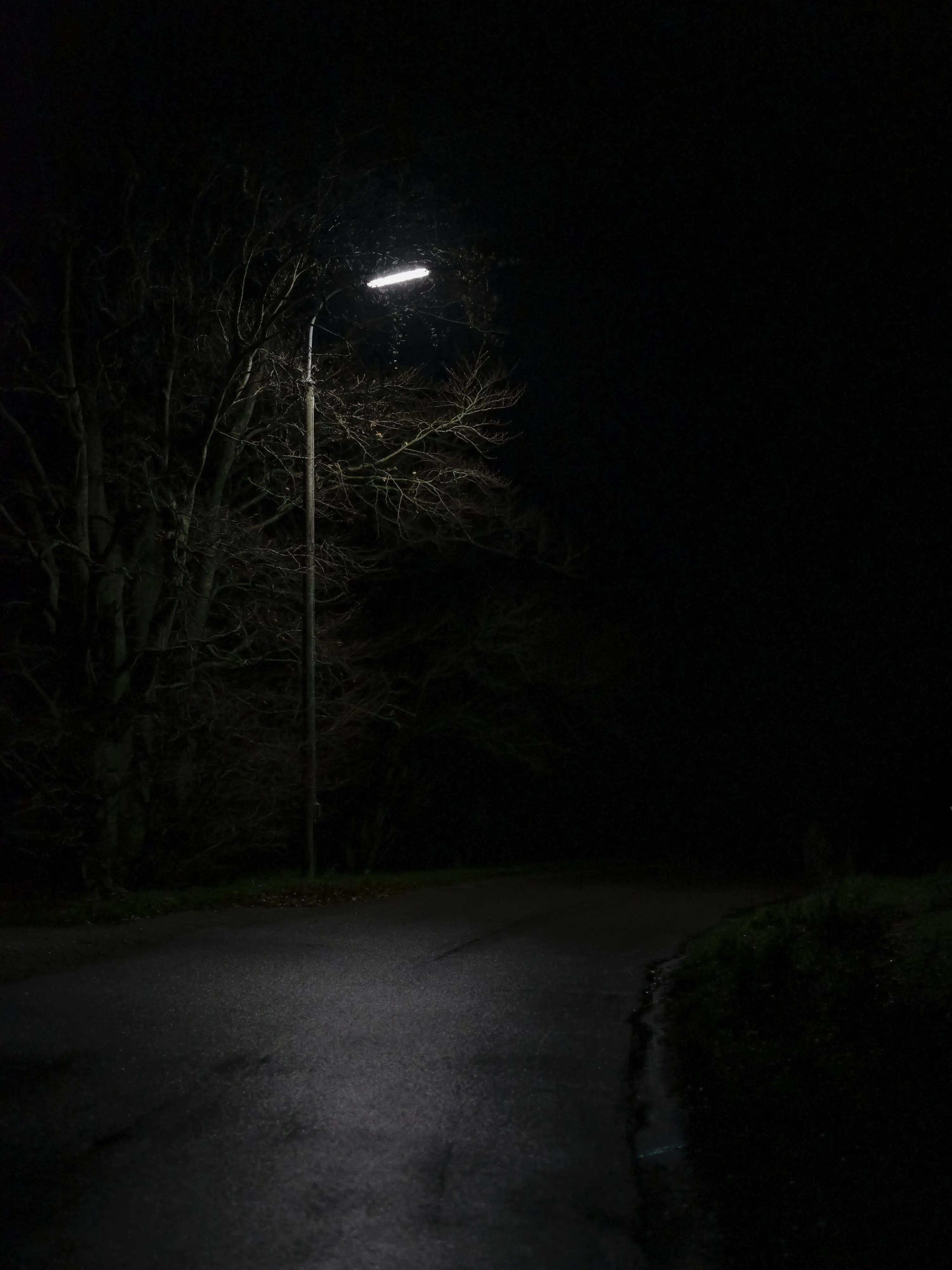 Leafdragon0901의 이세랩 - LIGHT WAY
