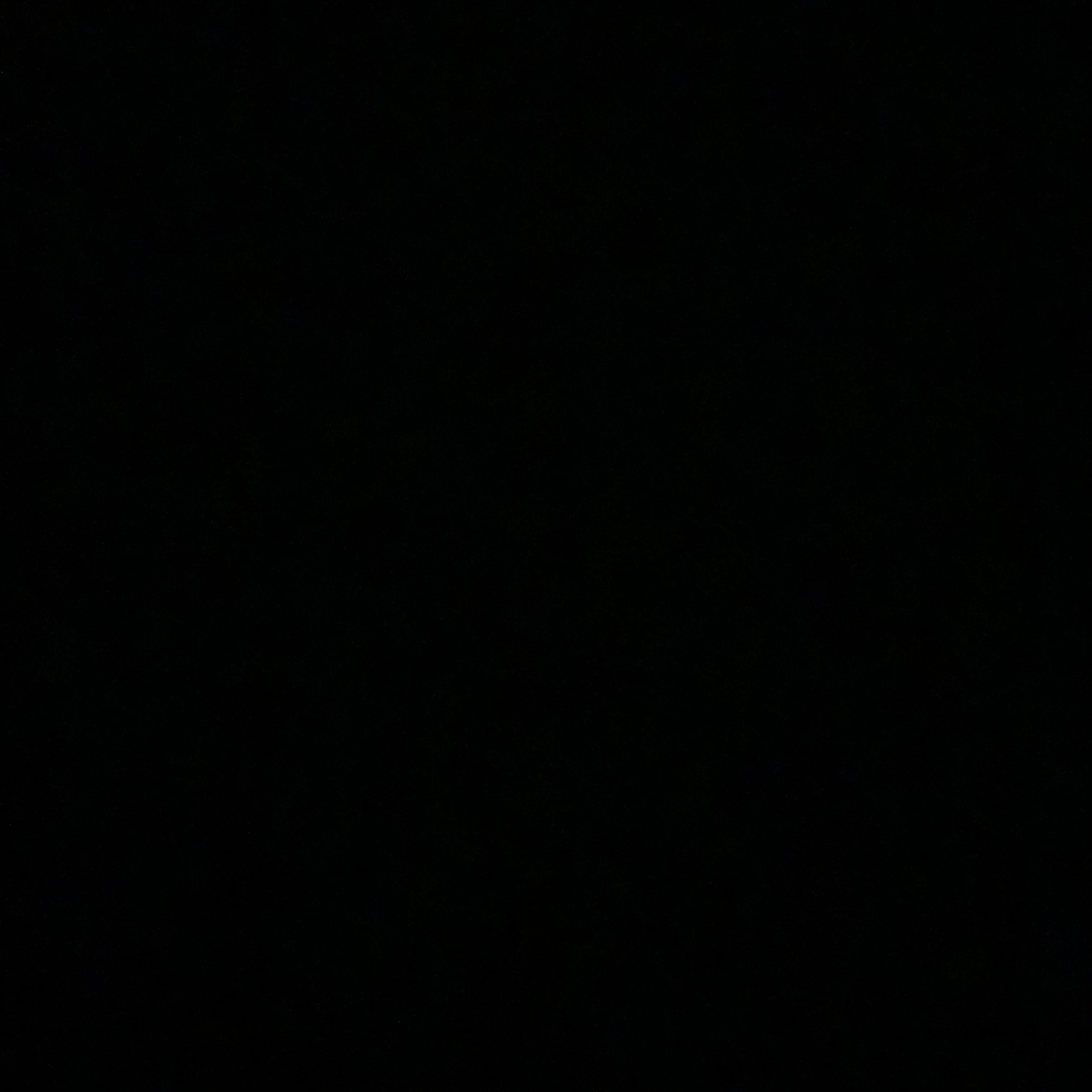 生まれ変わったら猫になっていた！？