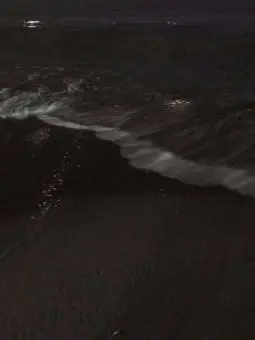 AgileMoth8601의 신이 운영하는 상담센터.