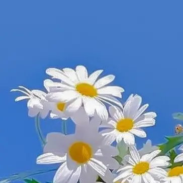 ExoticMist2784의 元ヤンの藤澤さん