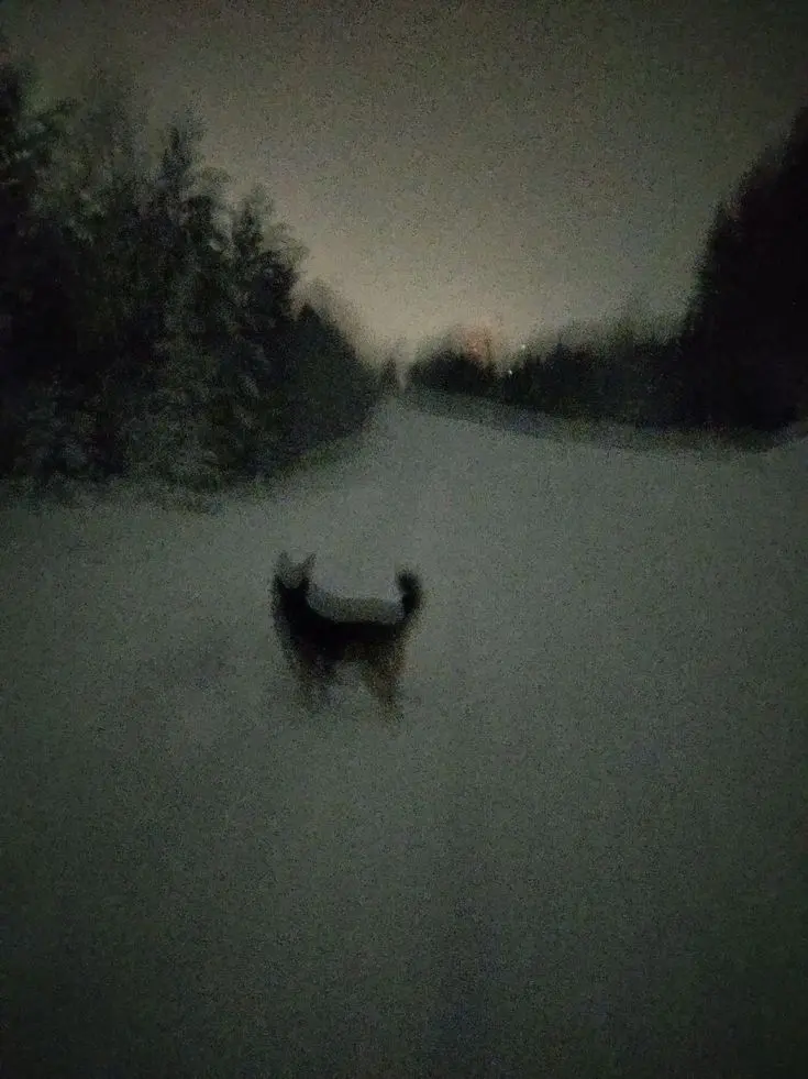 ActiveEasel2045의 Kiss me again!