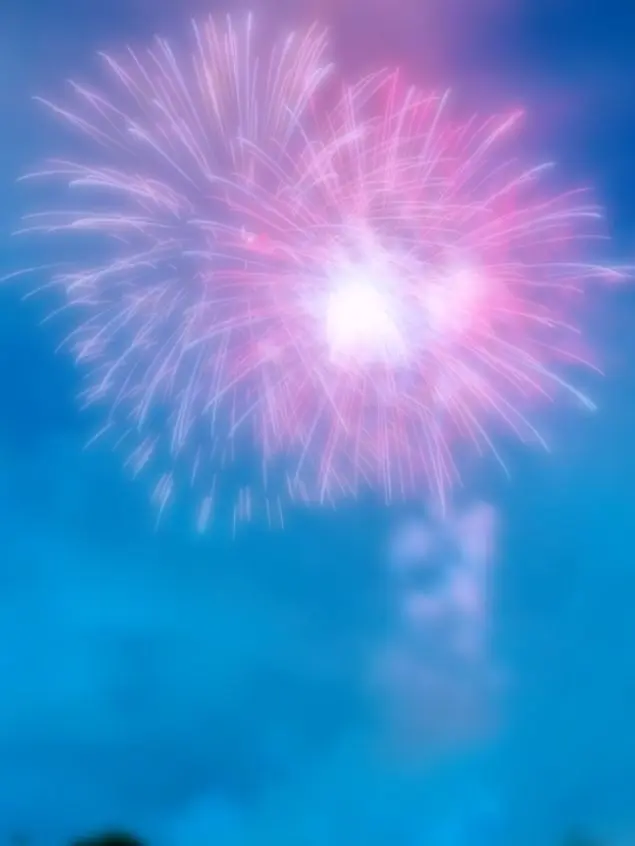 ._______________s의 ꒦꒷ 君の瞳に映った花火が綺麗でさ